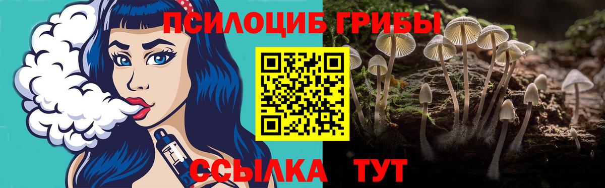 как найти наркотики  Вход с VPN  Губаха  Галлюциногенные грибы MAGIC MUSHROOMS  Псилоцибиновые грибы Magic Shrooms 